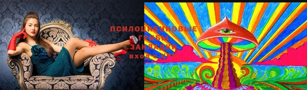 а пвп мука Краснослободск