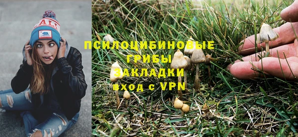 каннабис Корсаков