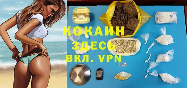 твердый Тайга
