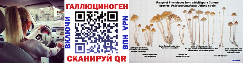 Псилоцибиновые грибы Psilocybine cubensis  Ессентукская 