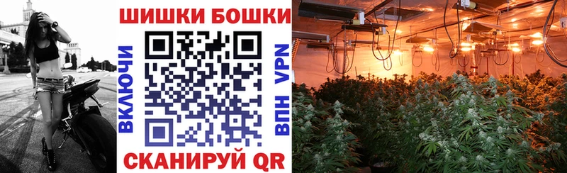 Каннабис план продажа наркотиков Ессентукская